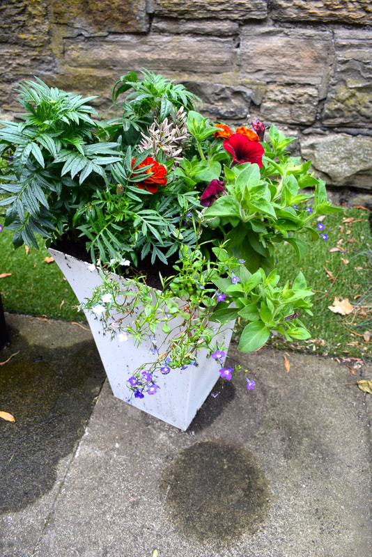 Buy Garden Ready Planters | Pre-Planted Pots | Online Shop UK